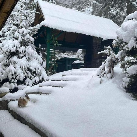 Willa Residenz Pal Kokava nad Rimavicou Zewnętrze zdjęcie