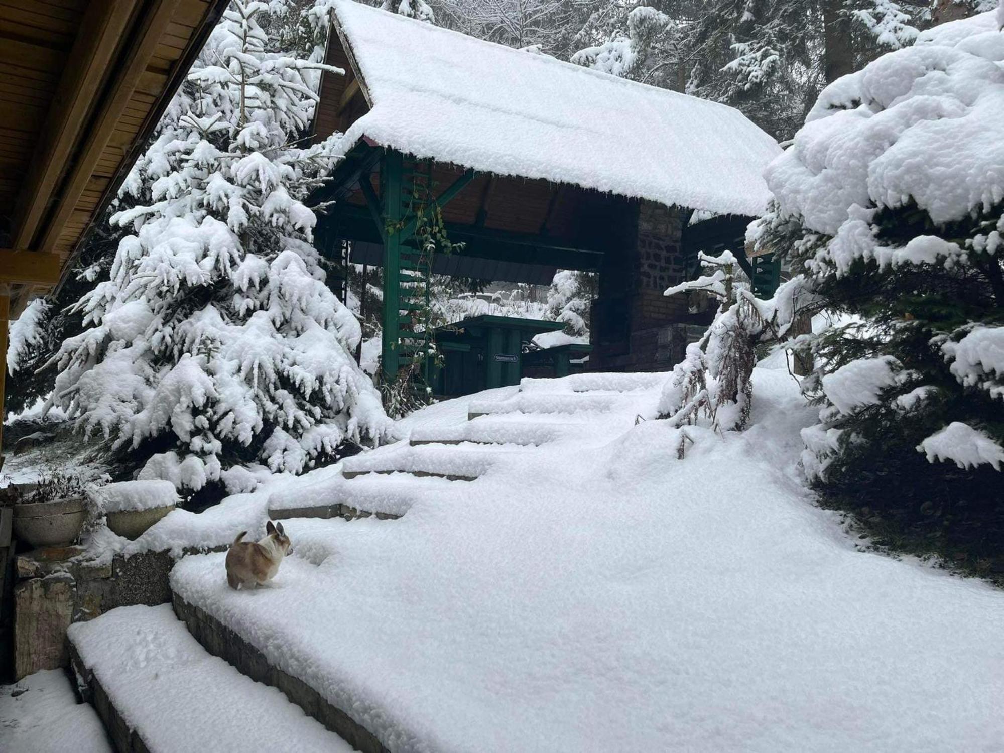 Willa Residenz Pal Kokava nad Rimavicou Zewnętrze zdjęcie
